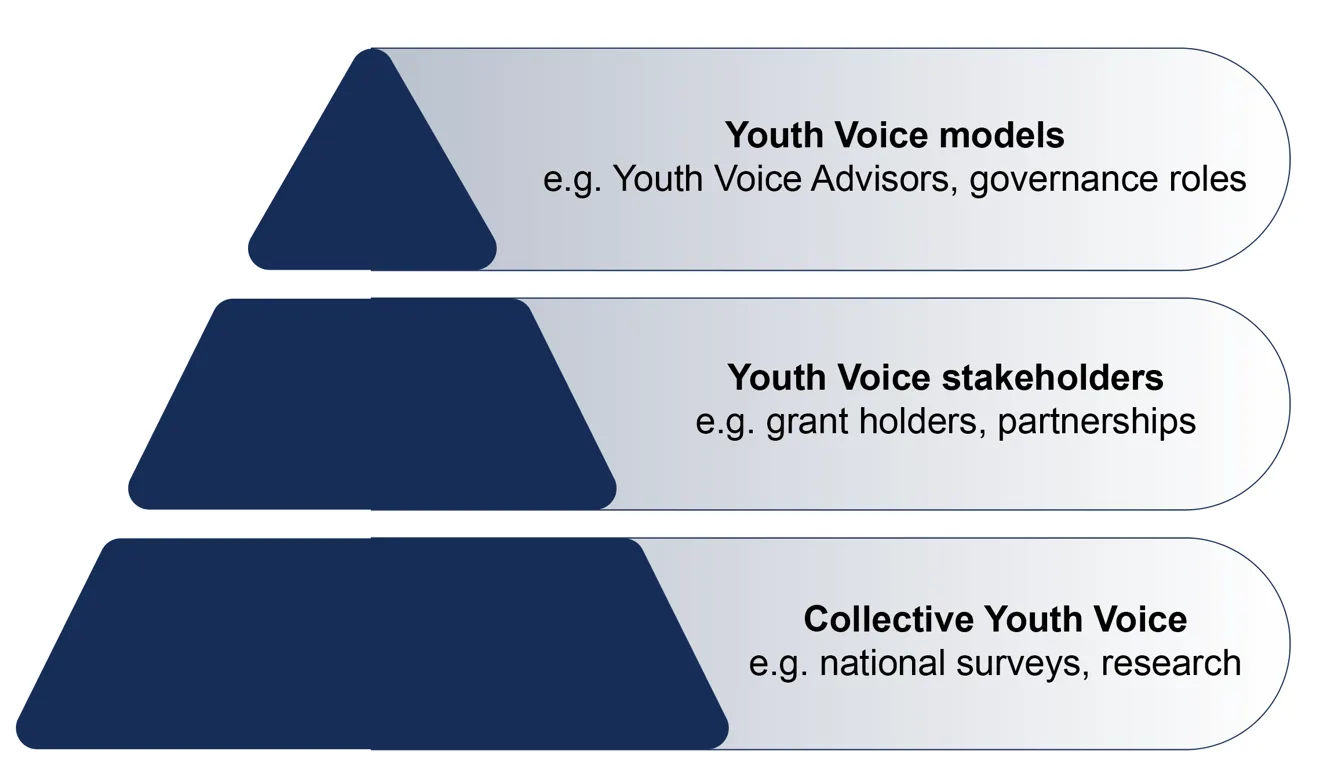 A 3-tiered pyramid with Collective Youth Voice layer at the base, Youth Voice stakeholders layer in the middle, and Youth Voice models layer at the top.