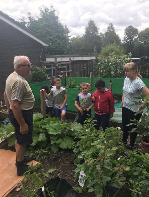 Farley Community Allotment