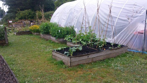 Foothold Cymru growing scheme 2