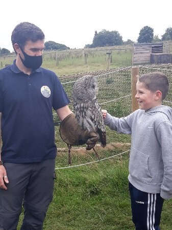 A young carer meets an owl as part of a farm visit organised by Sheffield Young Carers